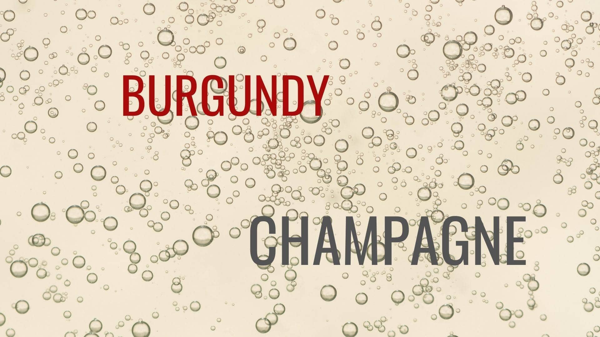 MASTERCLASS: Champagne & 2010 BURGUNDY
